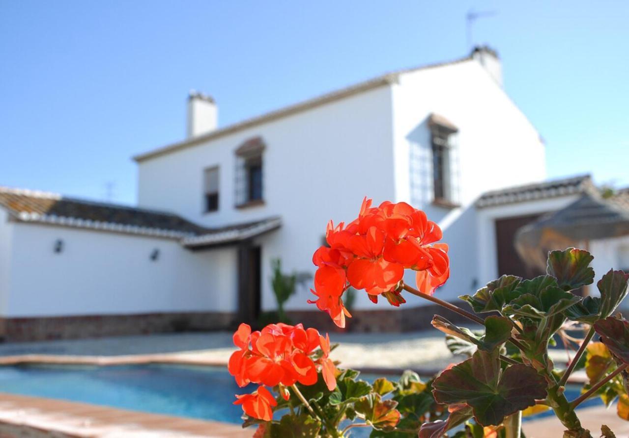 Cortijo Las Caballerias 埃尔乔罗 外观 照片