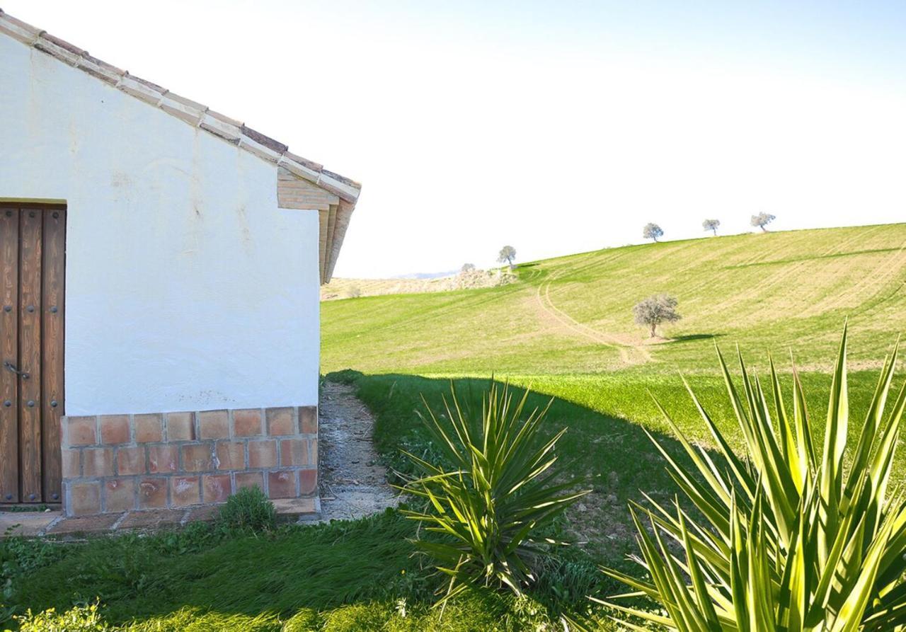 Cortijo Las Caballerias 埃尔乔罗 外观 照片