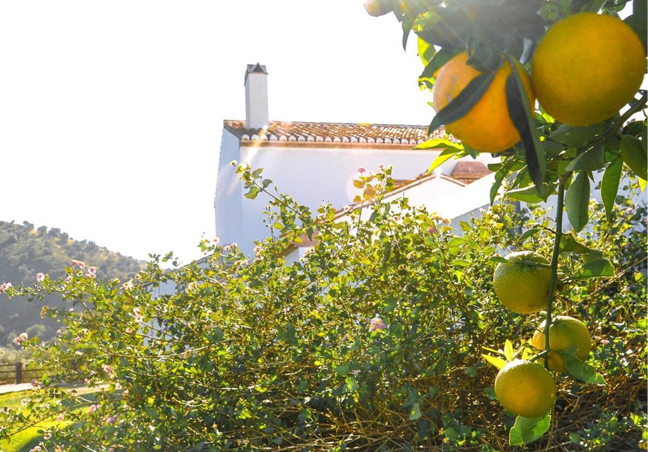 Cortijo Las Caballerias 埃尔乔罗 外观 照片