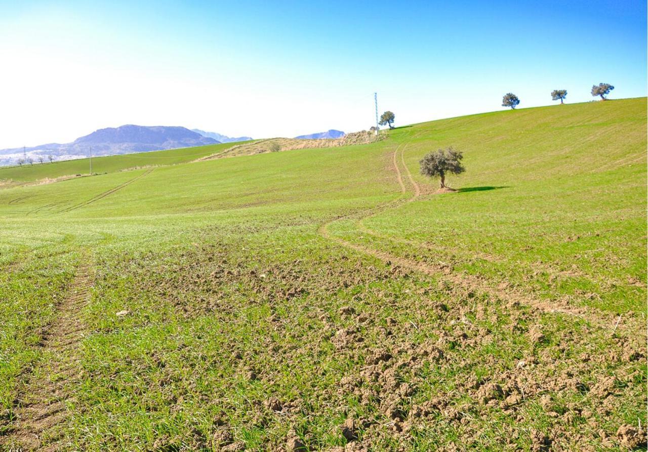 Cortijo Las Caballerias 埃尔乔罗 外观 照片