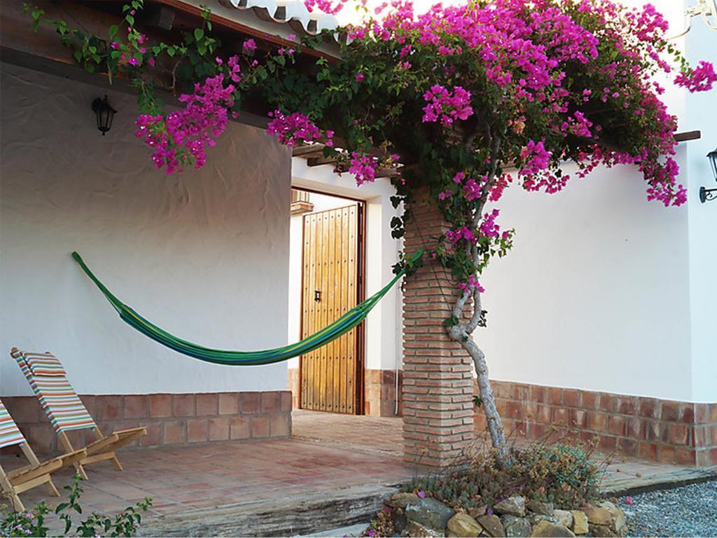 Cortijo Las Caballerias 埃尔乔罗 外观 照片